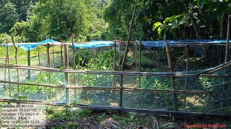 C:\Users\user\Downloads\Viilage insection photo\Gambegre Block\Dopogre under Gambegre block\dopogre nursery.jpg